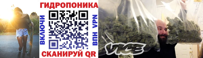 Названия наркотиков Лодейное Поле NBOMe  МАРИХУАНА  COCAIN  А ПВП  Меф  ГАШ  Галлюциногенные грибы 