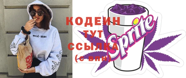 хмурый Абаза