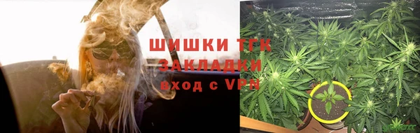 прущие грибы Абдулино