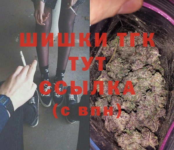 хмурый Абаза