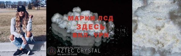 хмурый Абаза