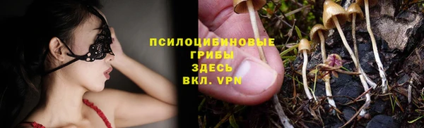 хмурый Абаза