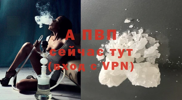 гашик Абинск