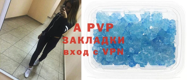 прущие грибы Абдулино