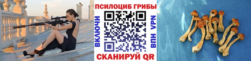 hydra онион  Лодейное Поле  Псилоцибиновые грибы мицелий 